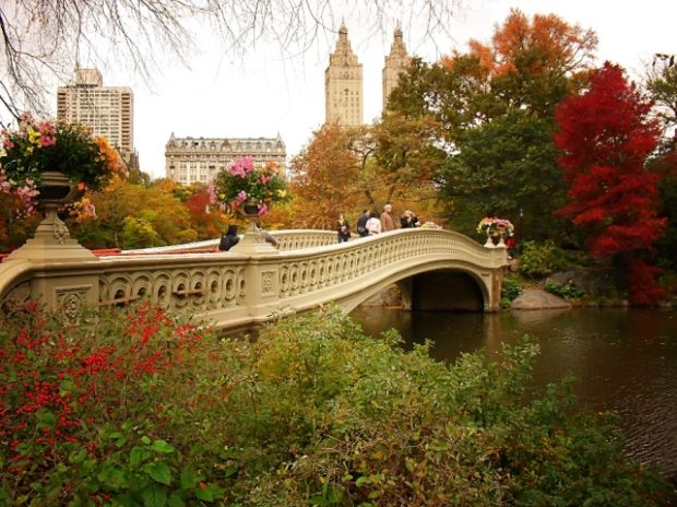 Bow Bridge, Central Park in NewYork City
