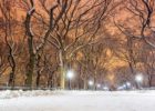 Best things to do in winter in New York City