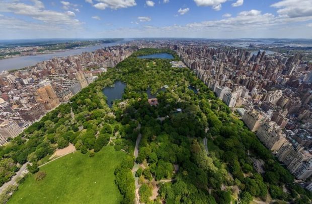 Central Park in New York City