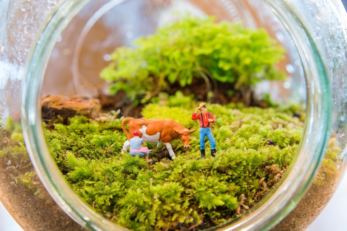 04_NYTinySights__TinyTerrariums_shutterstock_304848209