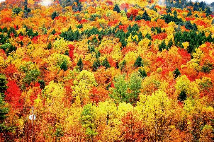 Fall colors in the Catskills