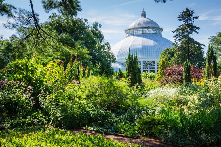 The Enid A. Haupt Conservatory is a greenhouse in the New York Botanical Garden in Bronx, New York,  the living museum, educational institution, and p