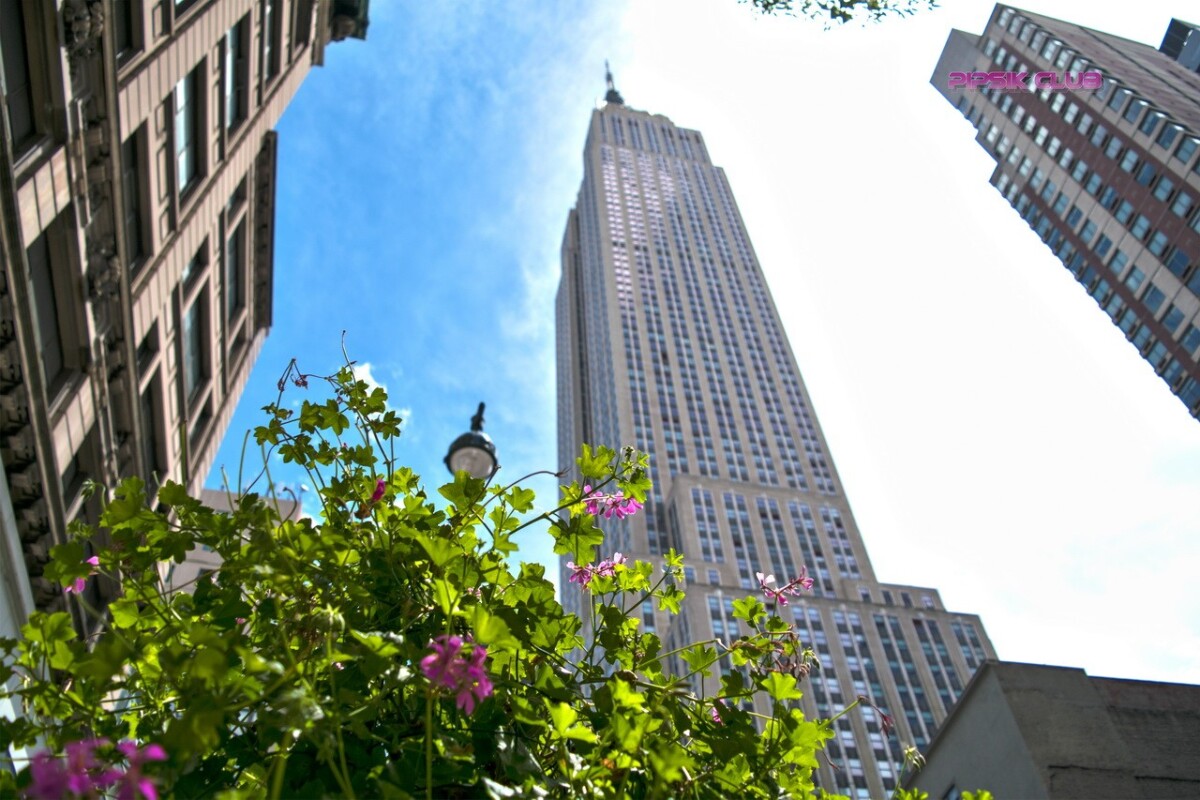 7 Incredible Facts About The Empire State Building