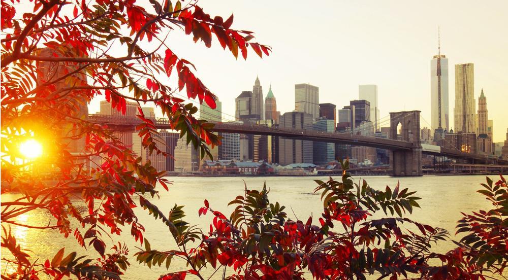 New York in autumn