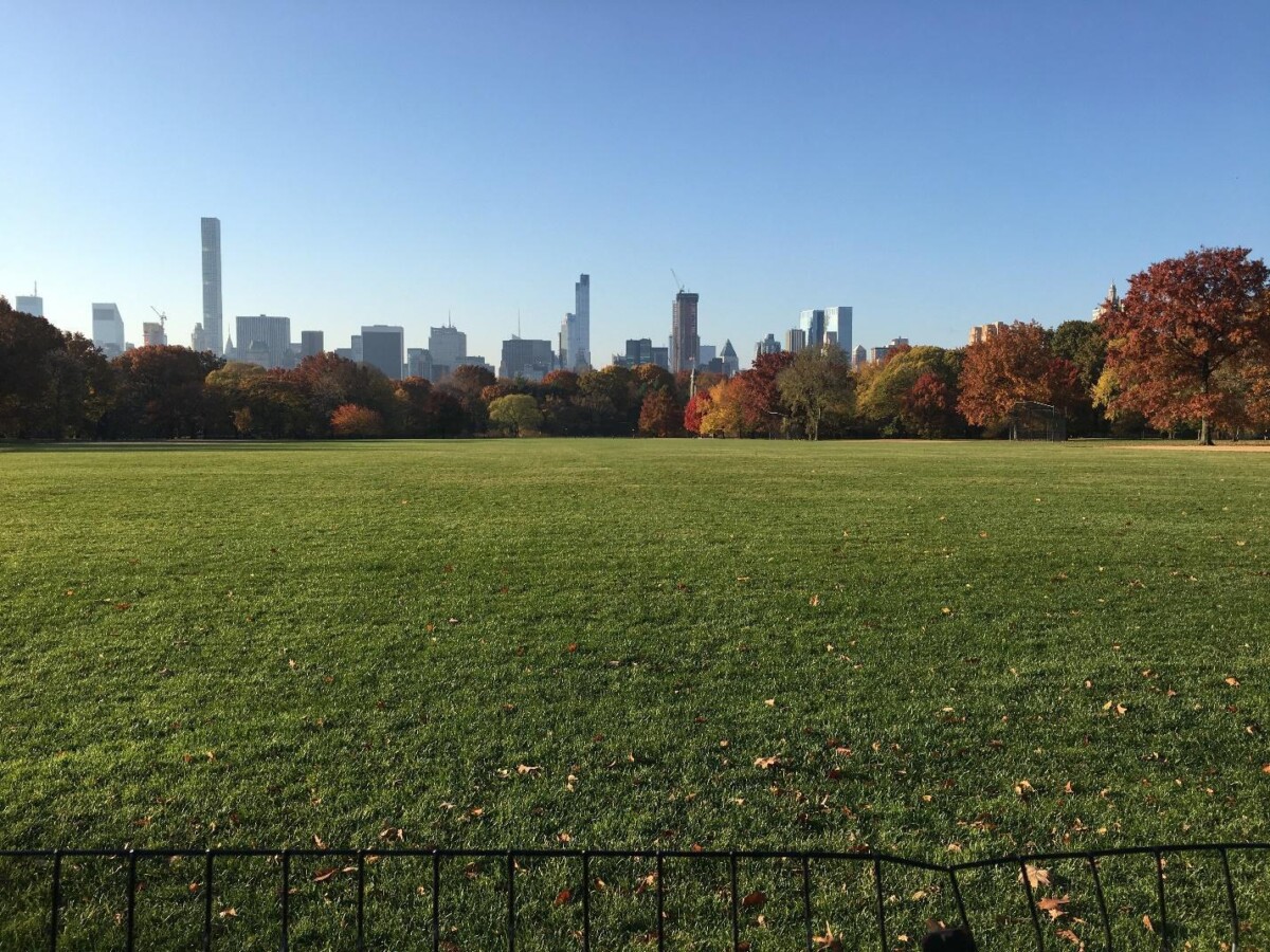 Great Lawn in Central Park