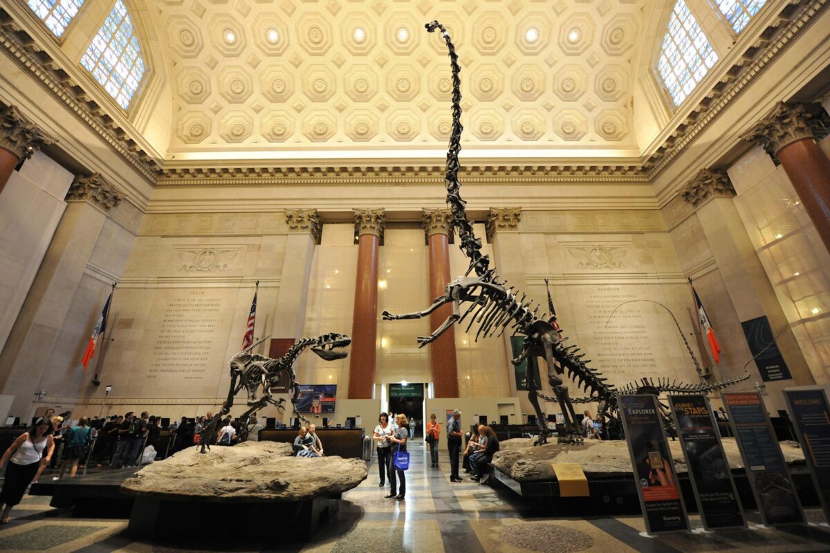 Shown here are the dinosaur stands in the Paleolithic section of the museum