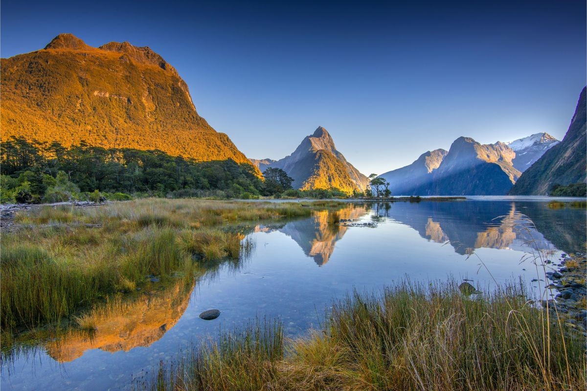 South Island is undoubtedly one of the purest places, where golden beaches and snow-capped mountains take your breath away with its beauty.