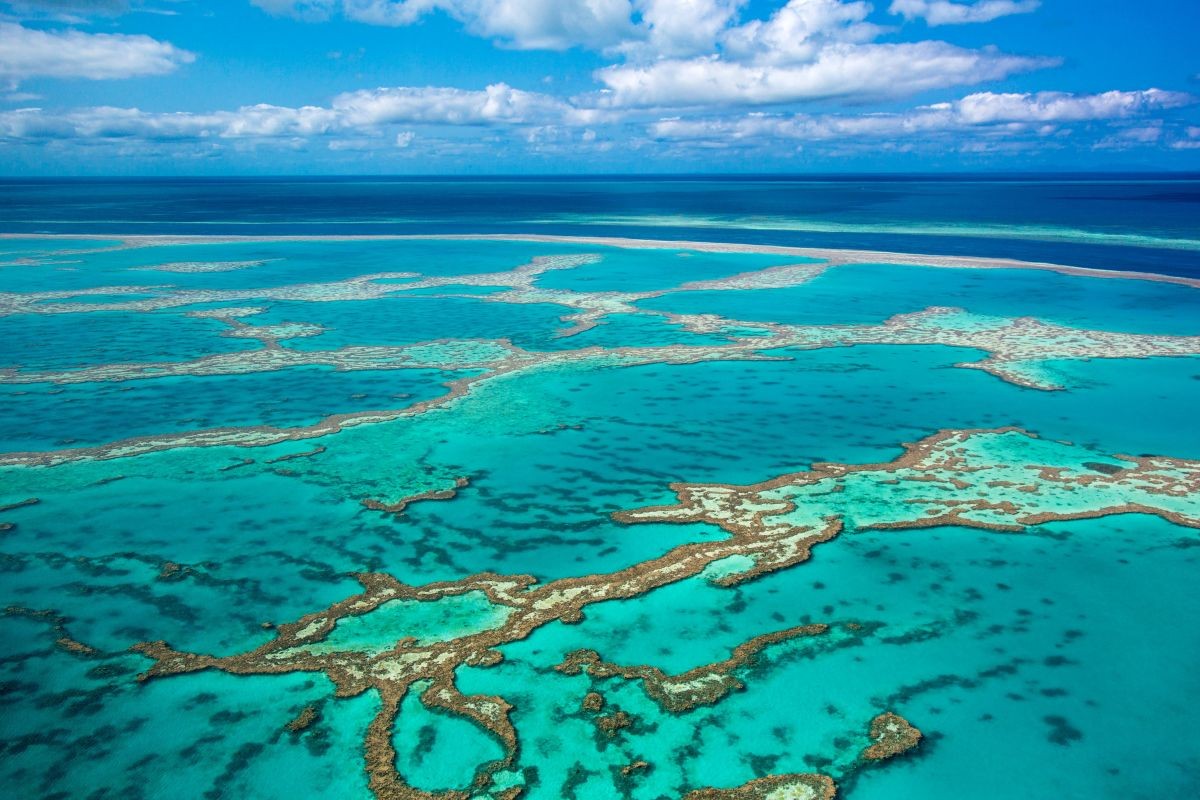The Great Barrier Reef is the world's largest coral reef system populated with unique species of fish.
