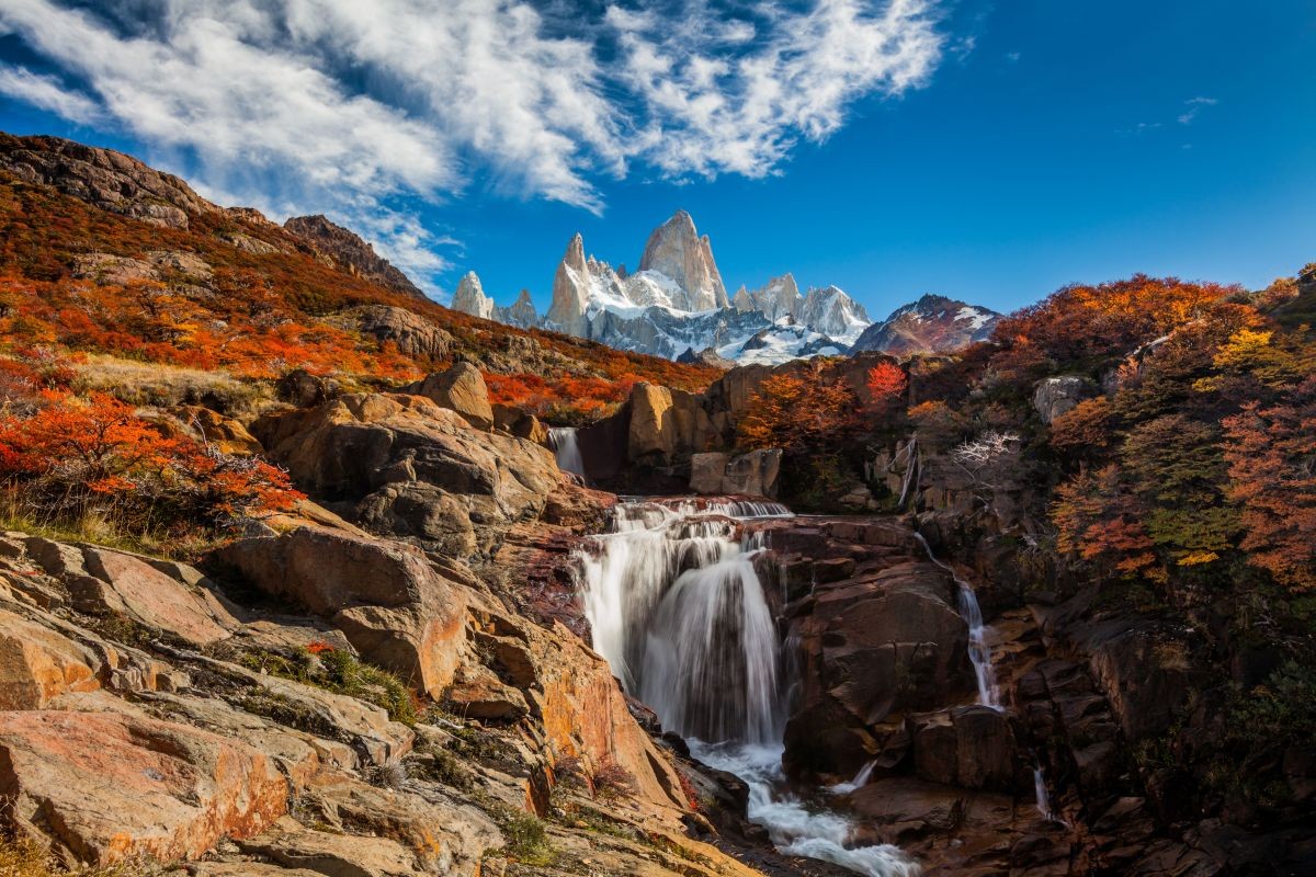 Unique wildlife and impressive peaks of the Andes in the South America.