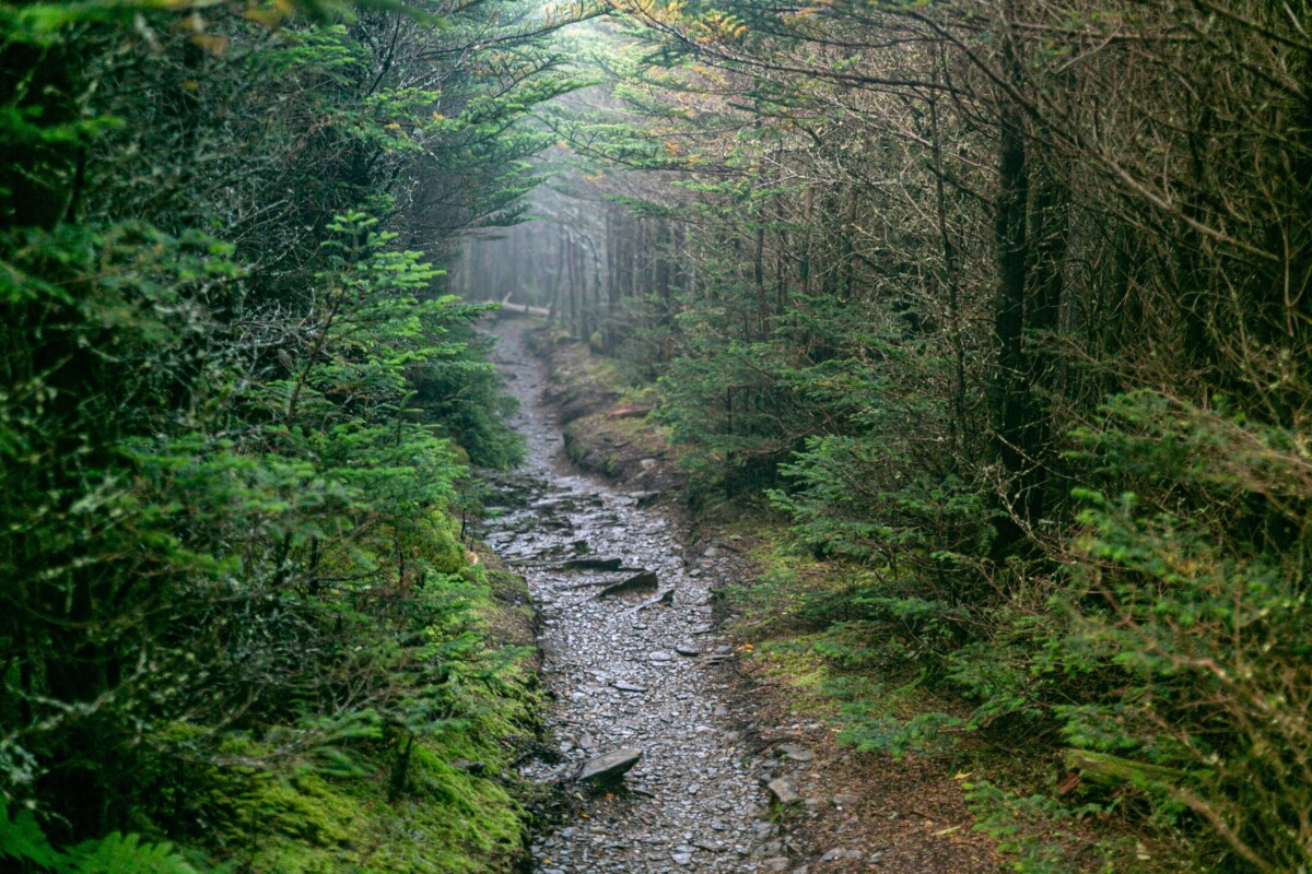 9 Best Hiking Trails Near New York City