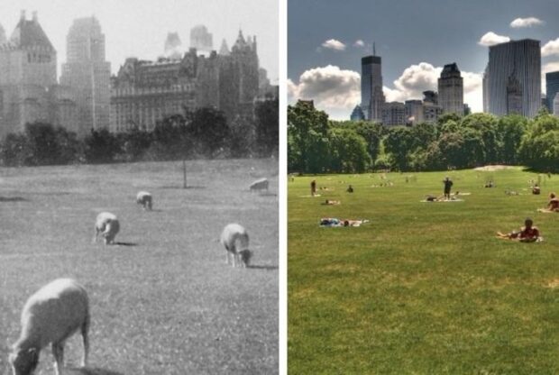 New York Central Park in 1934 and now