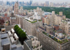 Roof Gardens in New York