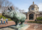 The Bronx Zoo