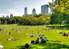 Central Park in Summer