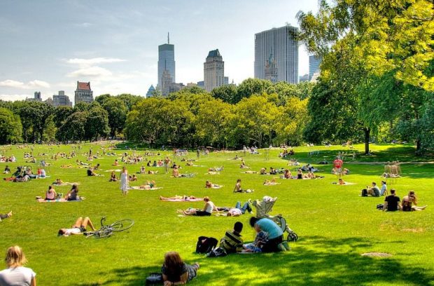 Central Park in Summer