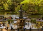The Best Things to Do in Central Park