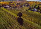 Agricultural and Wine Regions in New York State