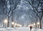 Central Park in Winter