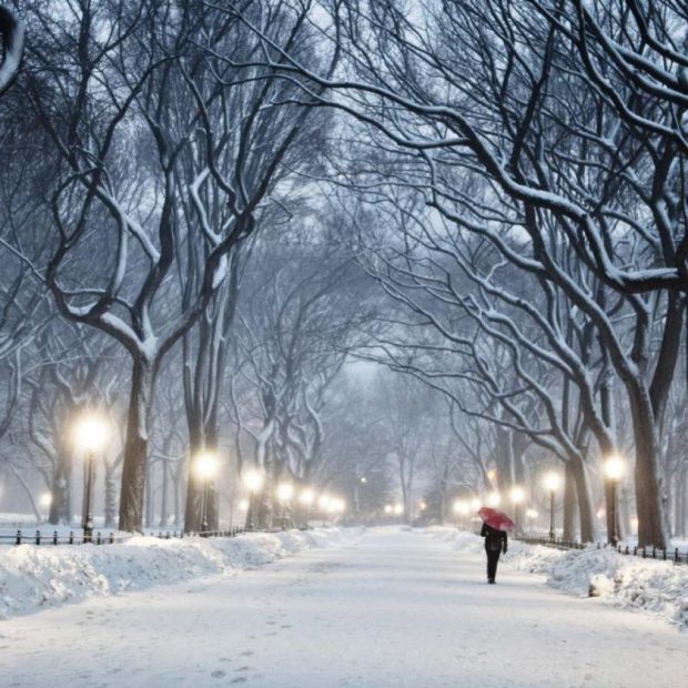 Central Park in Winter
