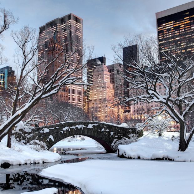 New York in January 2022: The Best Events & Tips