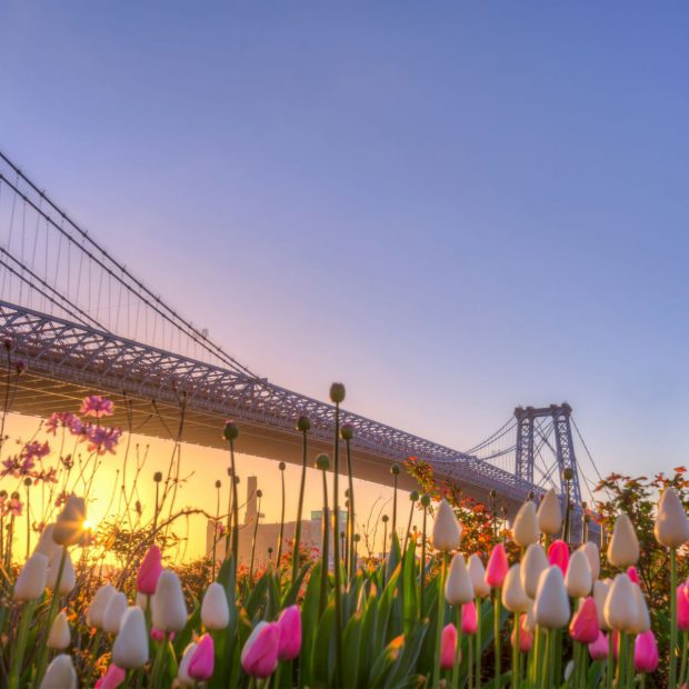 Spring in New York