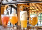 The Craft Beer Guide for New York