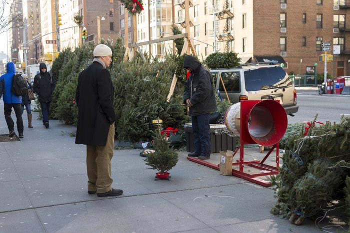 NYC Christmas Tree Prices 2025: What You'll Pay From Brooklyn to Manhattan